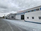 Spațiu industrial de vanzare 