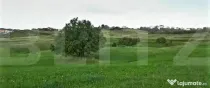 Teren intravilan ,4039 mp,in cartierul Borhanci