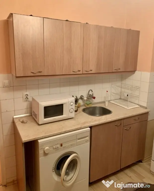 Apartament o camera Girocului