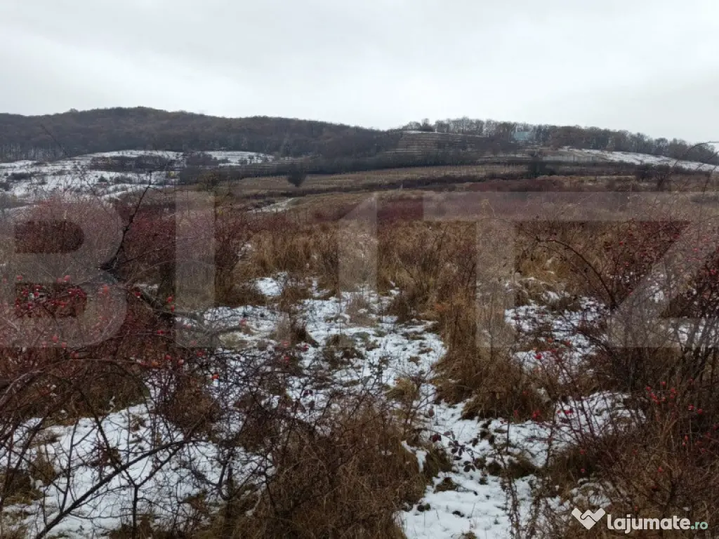 Teren de vanzare, 3900 mp, zona skit