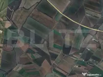 Teren intravilan - 11.600 mp, Remetea-Mare