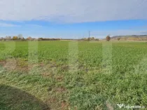 Teren in Razvad intravilan 1400mp cu acces la curent electri