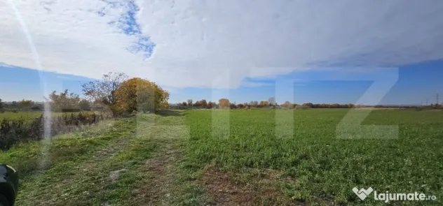 Teren in Razvad intravilan 1400mp cu acces la curent electri