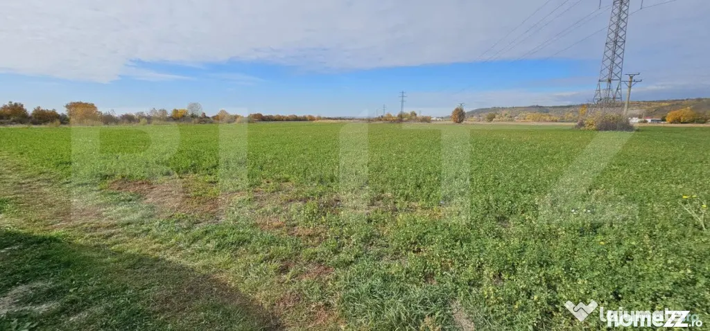 Teren in Razvad intravilan 1400mp cu acces la curent electri - Razvad (Dambovita)