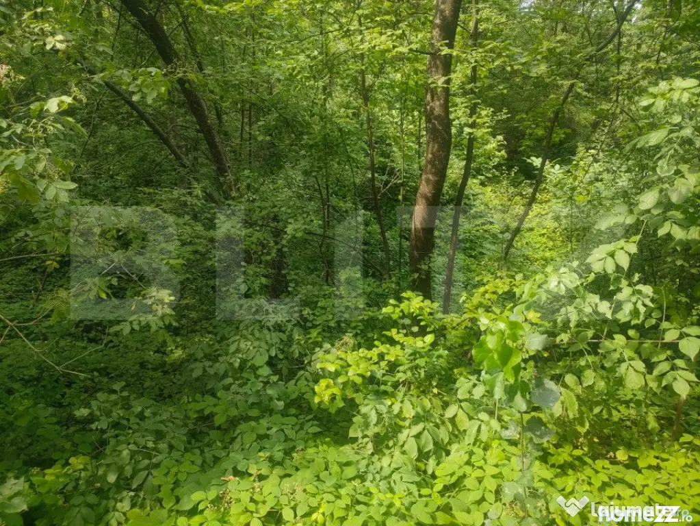Teren intravilan, 5857 mp, Baltati, Horodnicu de Sus - Horodnic (Suceava)