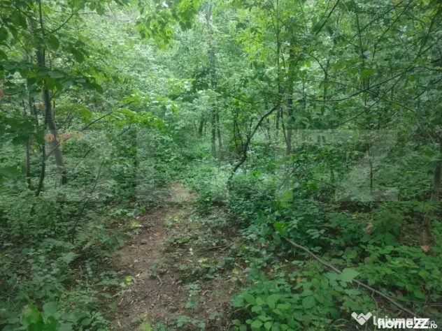 Teren intravilan, 5857 mp, Baltati, Horodnicu de Sus - Horodnic (Suceava)