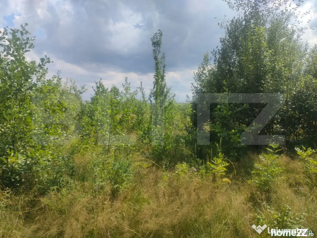 Teren intravilan, 5857 mp, Baltati, Horodnicu de Sus - Horodnic (Suceava)