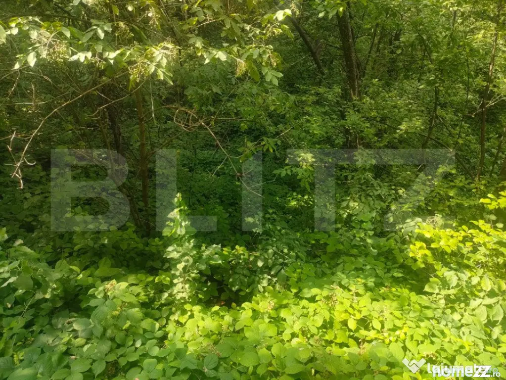 Teren intravilan, 5857 mp, Baltati, Horodnicu de Sus - Horodnic (Suceava)