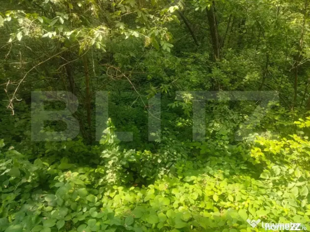 Teren intravilan, 5857 mp, Baltati, Horodnicu de Sus - Horodnic (Suceava)