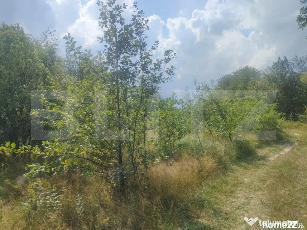Teren intravilan, 5857 mp, Baltati, Horodnicu de Sus - Horodnic (Suceava)