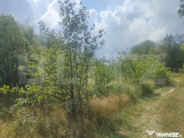 Teren intravilan, 5857 mp, Baltati, Horodnicu de Sus - Horodnic (Suceava)