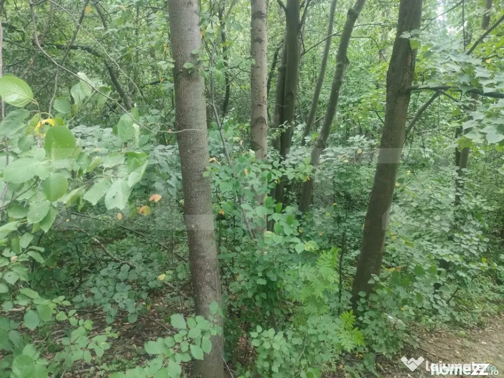 Teren intravilan, 5857 mp, Baltati, Horodnicu de Sus - Horodnic (Suceava)