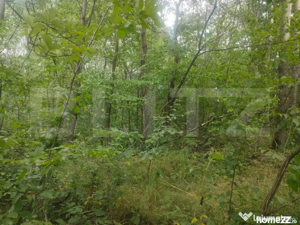 Teren intravilan, 5857 mp, Baltati, Horodnicu de Sus - Horodnic (Suceava)