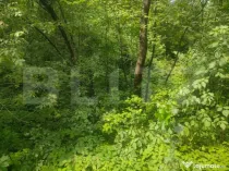 Teren intravilan, 5857 mp, Baltati, Horodnicu de Sus