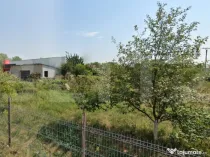 COMISION 0% Teren in Caras Severin, Lipit de profi, Oportuni