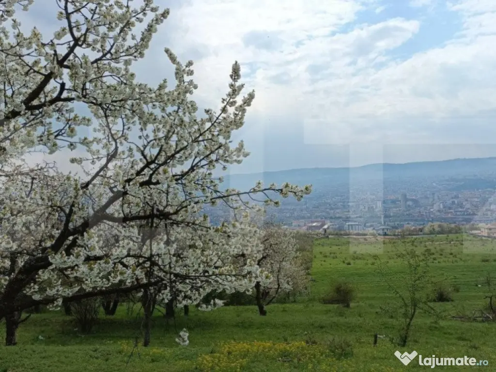 Teren extravilan, Dambul Rotund, 8310 mp