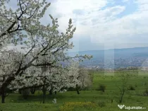 Teren extravilan, Dambul Rotund, 8310 mp