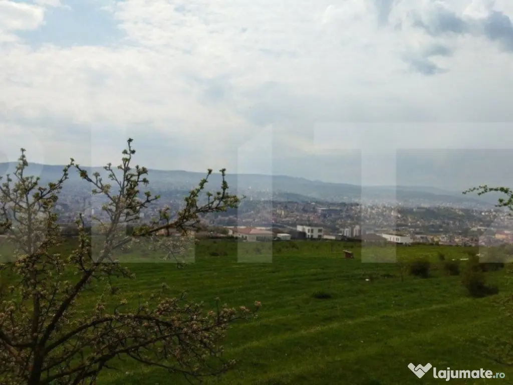 Teren extravilan, Dambul Rotund, 8310 mp