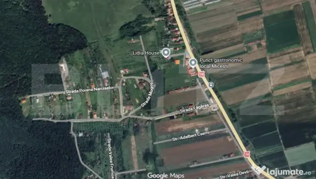 Teren intravilan ,4200mp, Micesti.