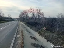 Teren 1,603mp Carcea / Aleea Tarlaua 37, Parcela 63/1