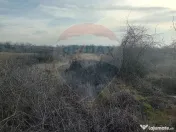 Teren 1,603mp Carcea / Aleea Tarlaua 37, Parcela 63/1 