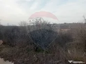 Teren 1,603mp Carcea / Aleea Tarlaua 37, Parcela 63/1 