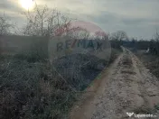 Teren 1,603mp Carcea / Aleea Tarlaua 37, Parcela 63/1 