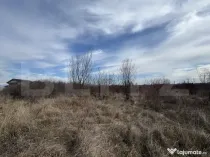 Teren extravilan de vanzare, 15.000 mp, zona Narcise II