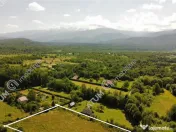 Teren intravilan de 1000 mp in Avrig zona Valea Avrigului 