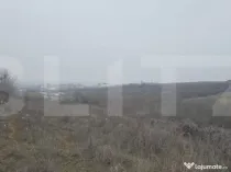 Teren intravilan, 10.000 mp, front peste 150 metri, zona Cur