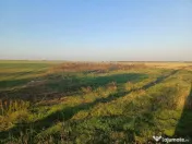 Lipia deschidere la DJ 101B ( Snagov-Nuci) 