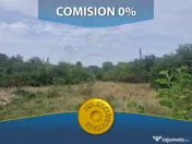 TEREN POIANA LACULUI 