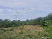 TEREN POIANA LACULUI 