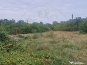 TEREN POIANA LACULUI 