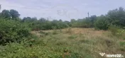 TEREN POIANA LACULUI