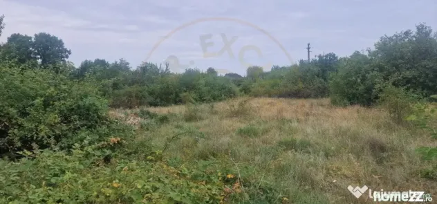 TEREN POIANA LACULUI