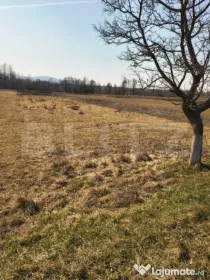 Teren extravilan de vanzare, 40 ARI, zona Racsa