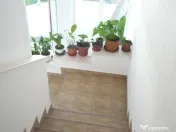 Cladire Birouri Central SC 1022 mp , ter 1290 mp, gaz, Dp+P+E+M 