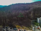 Teren - Caciulata - Deschidere la E81 