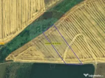 Teren Extravilan Petrachioaia