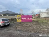 Teren Cornetu- Aeroportului.