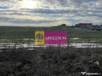 Teren Mihailesti- langa Dovinot.