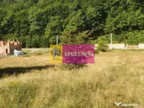 Teren Județul Vâlcea - Brezoi, Valea lui Stan