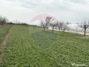 Teren 1944 mp + Casa - 65 mp, Darasti-Vlasca Giurgiu/ 20 ... 