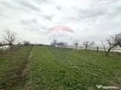 Teren 1944 mp + Casa - 65 mp, Darasti-Vlasca Giurgiu/ 20 ... 