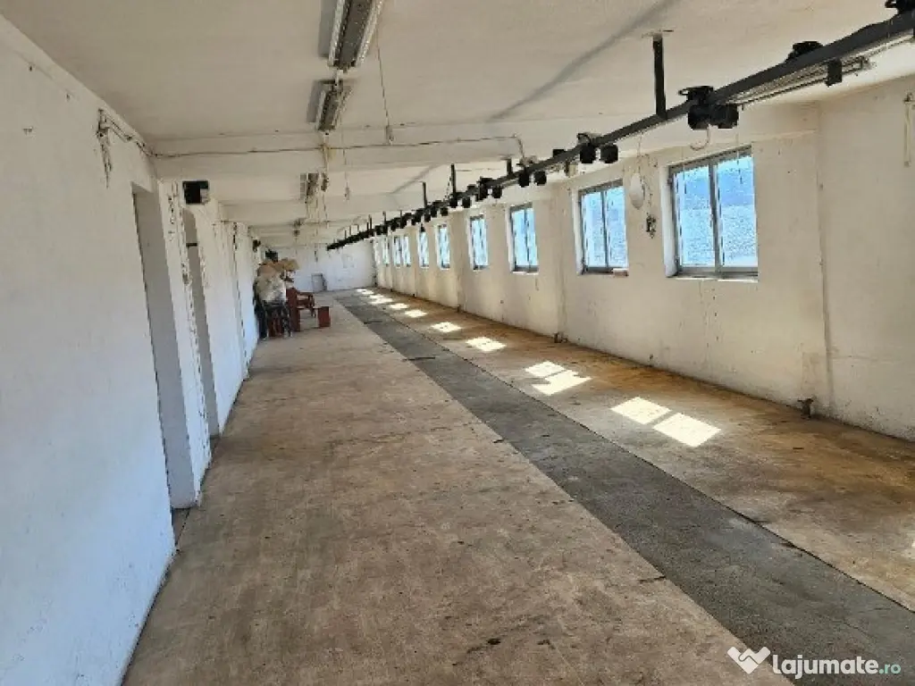 Hale P+E ,SC 9000 mp , teren 14500 mp , Zona Centura -Metro, 1000kw