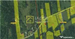 Teren Intravilan-Ideal Investitie-Podis,Margineni,Bacau
