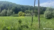 Teren Intravilan-Ideal Investitie-Podis,Margineni,Bacau 