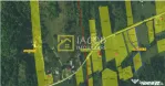 Teren Intravilan-Ideal Investitie-Podis,Margineni,Bacau