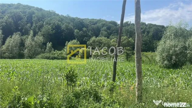Teren Intravilan-Ideal Investitie-Podis,Margineni,Bacau